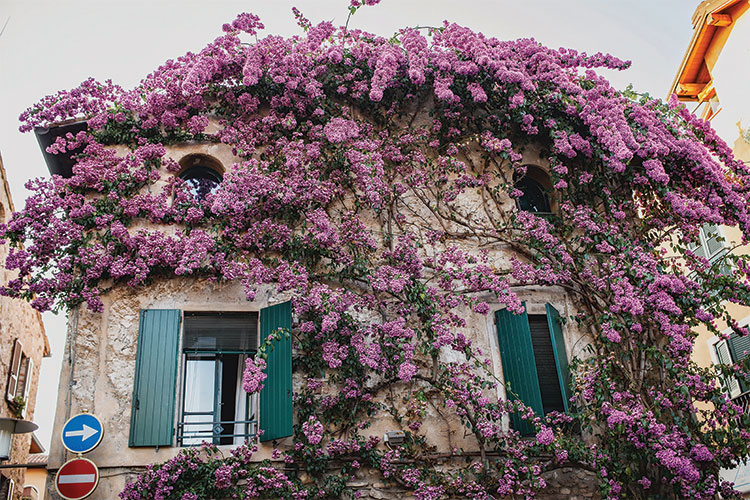 Athens Historical House