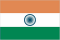 tn_in-flag