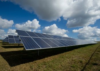 SOLAR-PLANTS