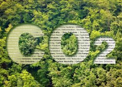 Co2,Net-zero,Emission,-,Carbon,Neutrality,Concept,Against,A,Forest Co2,Net-zero,Emission,-,Carbon,Neutrality,Concept,Against,A,Forest