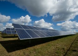 SOLAR PLANTS SOLAR PLANTS